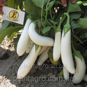 Семена баклажанов Моби Дик F1 1000 шт. белый фотография