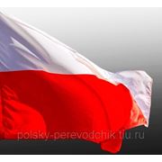 Переговоры на польском языке с поставщиками и потенциаьными клиентами