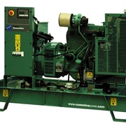 Дизельный генератор Cummins C33D5 с АВР фотография