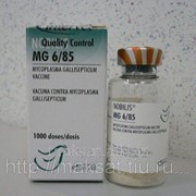 Вакцина Нобилис Mg6/85 1000 D фотография