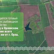 Продаётся готовый бизнес рыбоводное хозяйство: пруд в Орловском районе всего в 30 км от г. Орла. фото