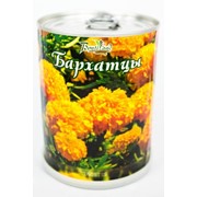 Бархатцы Bontiland растение в банке, (77003) фото