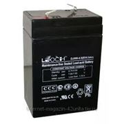 Аккумуляторные батареи LEOCH серии DJW 6В 4,5 А*ч фото