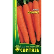 Насіння морква стол.“Олiмпус“, 5г фотография