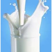 Молоко ЭГО 3.2% фото