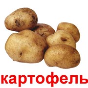 Покупаем продовольственный картофель фото