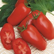 Семена томатов Гаспачо фото