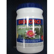 BIOFORCE Aqua Balance Биологическое средство для эффективной борьбы с цветением воды в водоемах и аквариумах фото