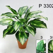 Декоративное искусственное растение Хоста в горшке Р33027