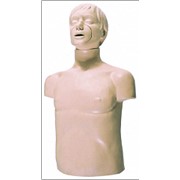 Тренажер - манекен пострадавшего (голова, торс) без контролера для отработки сердечно-легочной реанимации фотография
