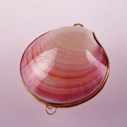 Натуральный кристаллический дезодорант (Tawas Crystal) в тихоокеанских раковинах и пакете Розовые (65-70 г) фото