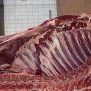 Мясо, свинина, говядина фото