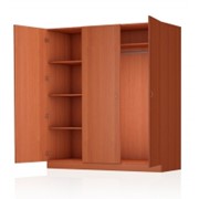 Шкаф для одежды ШЛ25 фото