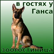 Услуги в зоогостиницы Киевская область фото