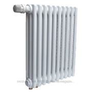 Zehnder Charleston Радиатор стальной трубчатый 3050/13 секций фото