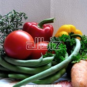 Овощи тепличные фотография