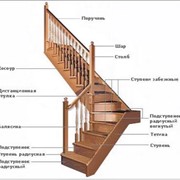 Двухэлементные раскладные лестницы фотография
