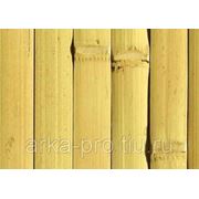Бамбуковое полотно, желтое, ламели 20мм, фото