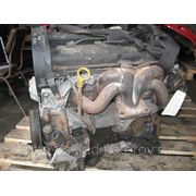 Бензиновый двигатель EYDC 1.8i 16V 85кВт /115л.с. Zetec для Ford Focus I 1998-2004г.в. , (EYDB, EYDD, EYDE, EYDF, EYDG, EYDI, EYDJ, EYDL) фото