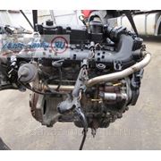 Контрактный двигатель (бу) F6JA, F6JB 1,4 TDCi для Ford FIESTA (Фиеста), FUSION (Фьюжен), Focus (Фокус) фото
