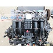Контрактный двигатель (бу) D17A1 VTEC 1,7л для Honda (Хонда) CIVIK (СИВИК, ЦИВИК), STREAM (СТРИМ) фото