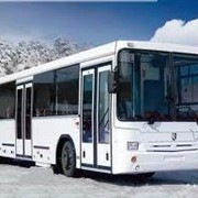 Автобусы I класса НЕФАЗ-5299-0000030-31
