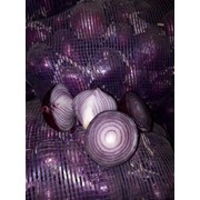 Лук фиолетовый производитель Казахстан фото