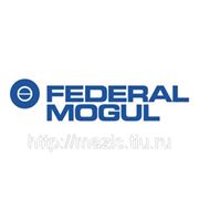 Каталог Federal Mogul (Тормозные колодки для автоспорта, тюнинга, мотоциклов, картинга) фото