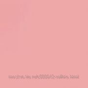 ПРОФЕССИОНАЛ ПРОФЕССИОНАЛ Фото фон 2,8 x 6,0 m розовый фотография