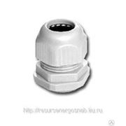 Сальник PG36 d22-32мм ИЭК фото