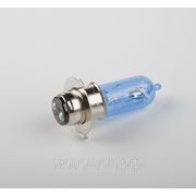 Лампа фары галоген P15D-25-3 12V 35 x 35W синяя блистер DOUPLE фото