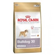 Корм для собак Royal Canin Bulldog Junior (для щенков английского бульдога) фотография