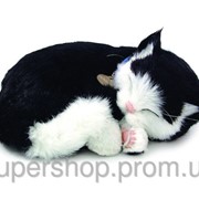Дышащая игрушка Черно - белый котенок Perfect Petzzz 205-1911007