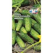 Огурец Микрон 0,5г (СеДеК) фото