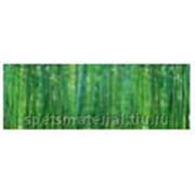 Стандартное флуоресцентное полиэстровое полотно-обои “Forest Bamboo“ фото