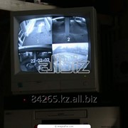 Услуги охранные фото