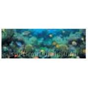 Стандартное флуоресцентное полиэстровое полотно-обои “Deep Sea Coral“ фото