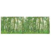 Стандартное флуоресцентное полиэстровое полотно-обои “Forest Pine “ фото