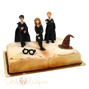 Детский торт Гарри Поттер и друзья №457 фото
