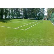 Строительство теннисных кортов в Чехове фото