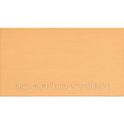 Настенная керамическая плитка ITALON PLAY Orange 25*45