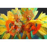 Бразильский карнавальный костюм изготовление на заказ