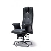 Кресла кожаные Bioswing 780 фото