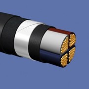Силовой кабель ВБбШнг 3х16 0.66 кВ фото