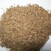 Тмин(семена) фотография