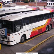Автобусные туры за рубеж фото