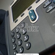 Телефонная линия информационной или технической поддержки