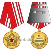 Общественная медаль За службу Отечеству фотография