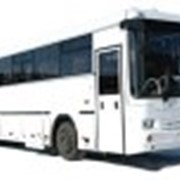 Автобусы II класса НЕФАЗ-5299-0000017-32, 5299-0000017-33 фотография