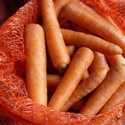 Морковь свежая, Днипро А Агро, ООО,Украина